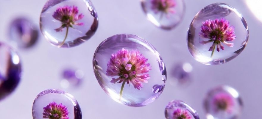 Дизайн без названия 2026 05 28T124214.990