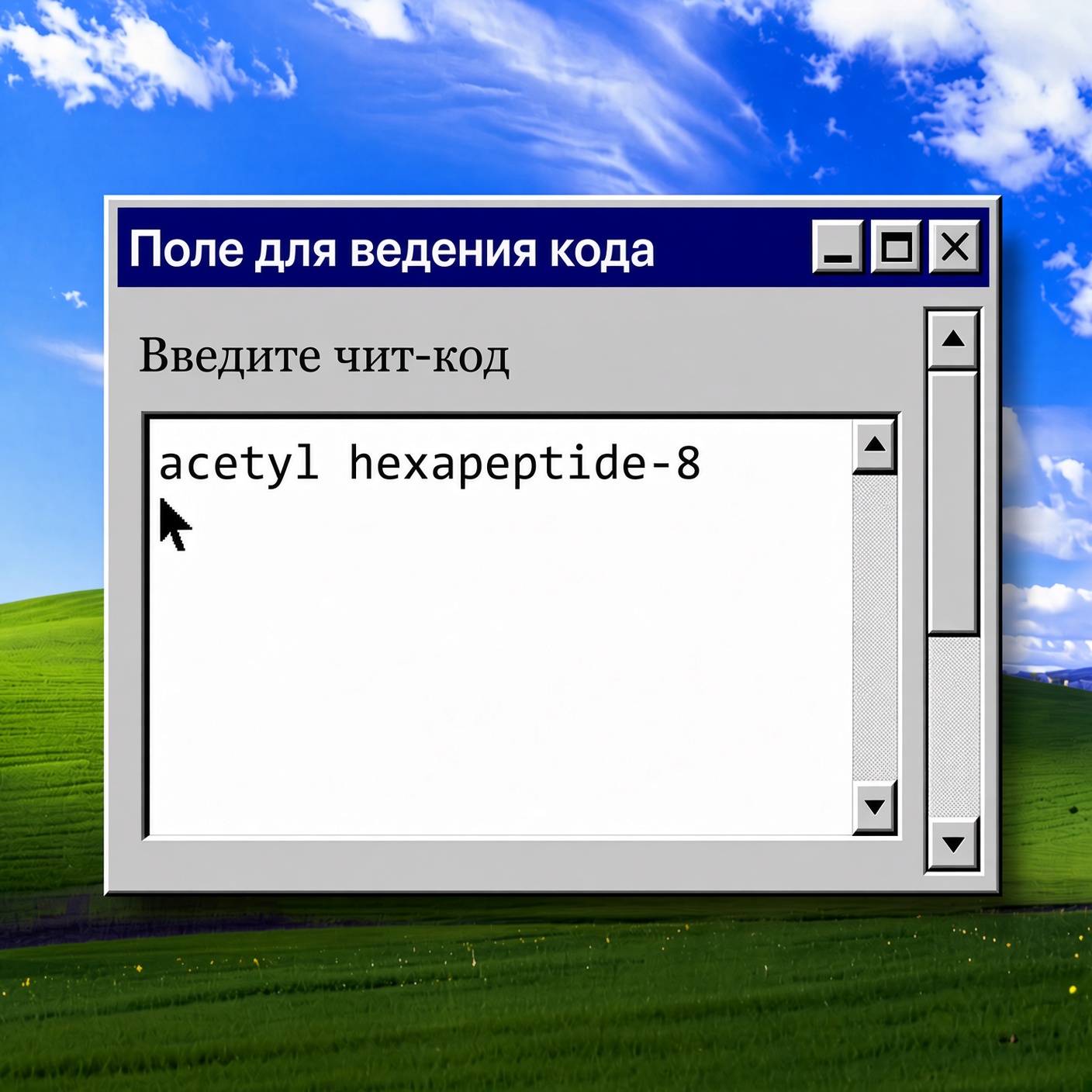 Стилизованное окно в духе Windows XP с чит-кодом acetyl hexapeptide-8